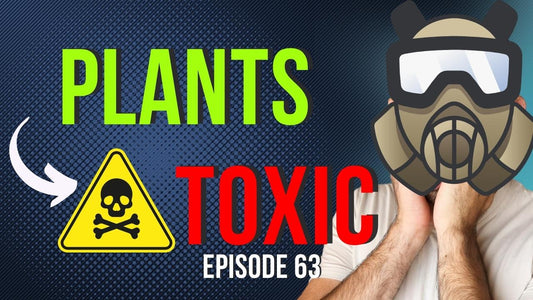 Are Plants Really Trying To Kill Us? (Kind Of) - Top 5 Plant Toxins - Ep 63